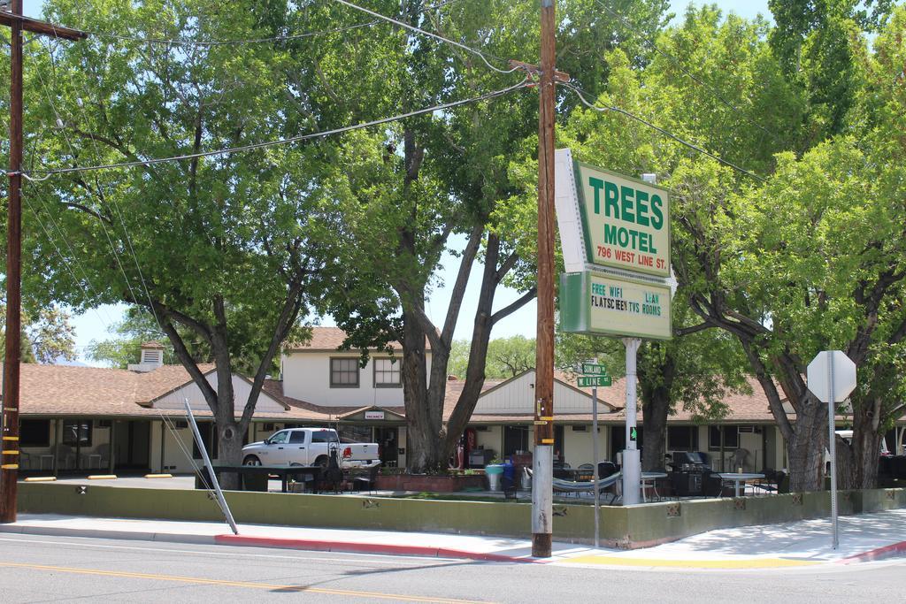Trees Motel Bishop Exteriör bild