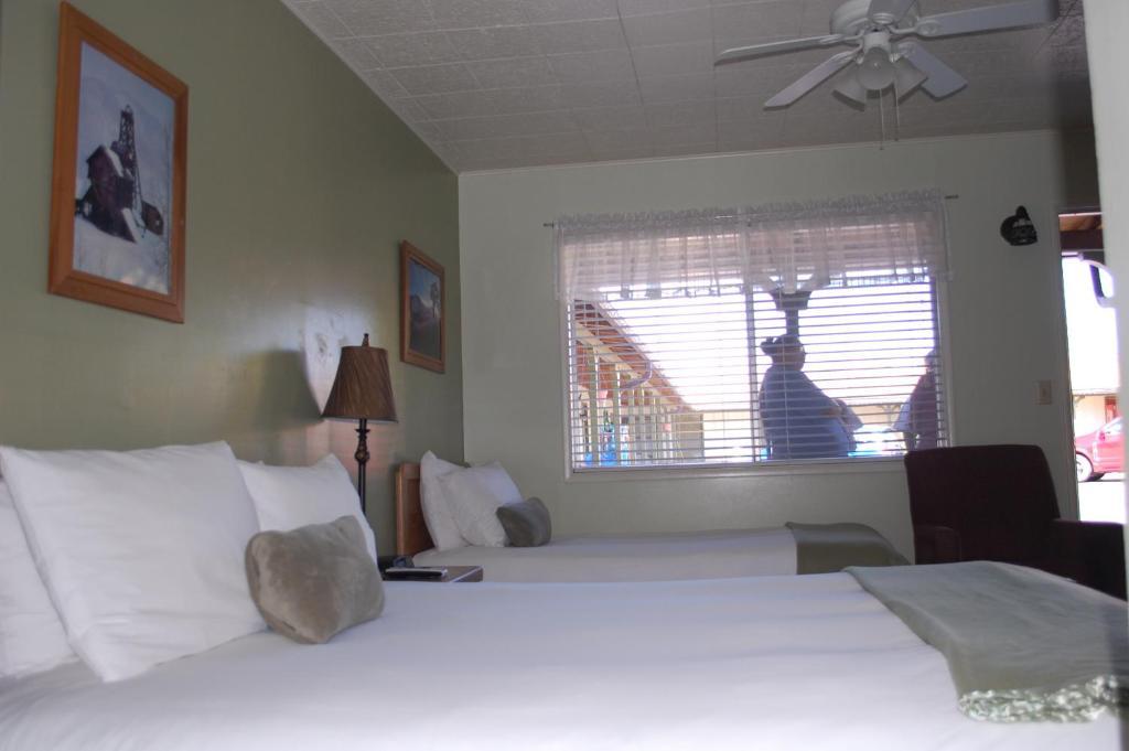 Trees Motel Bishop Rum bild